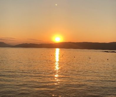 IMG_3229 (1)